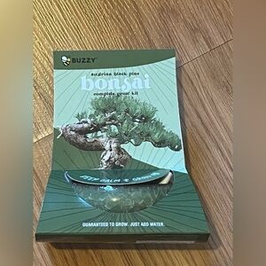 NWT Buzzy Seeds Crackle Ceramic Austrian Black Pine Bonsai Complete Grow Kit
